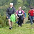 Pastorekorta (243)
